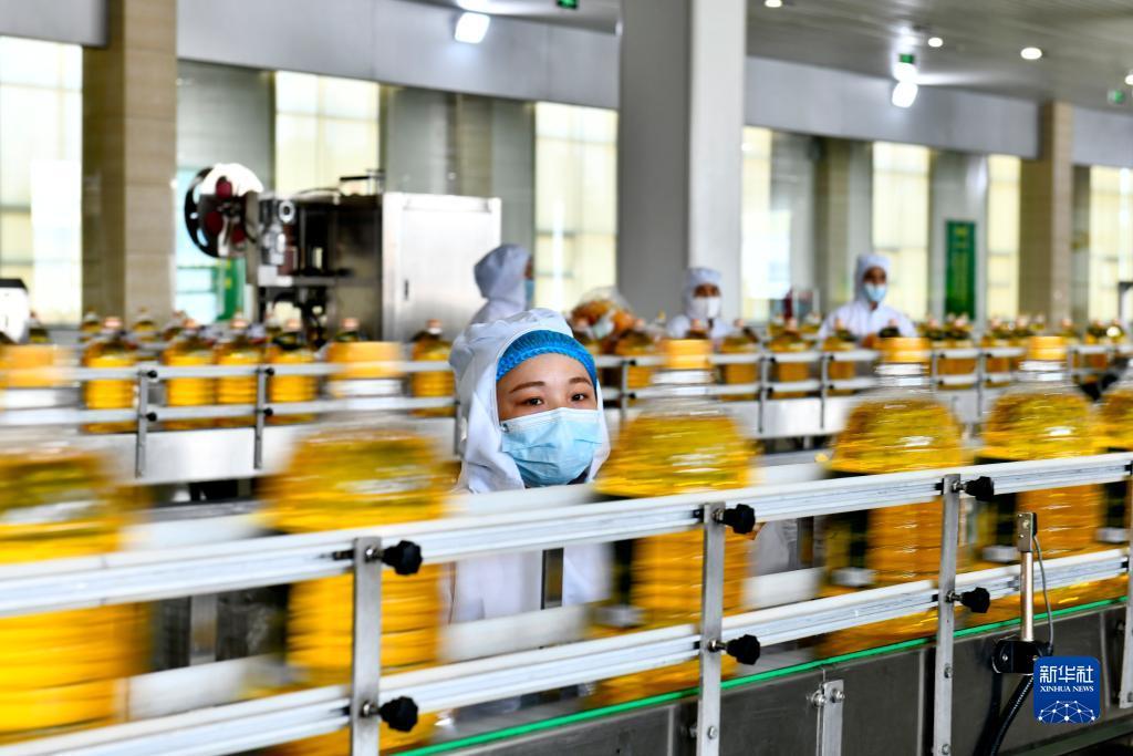 乐虎国际电子游戏官网